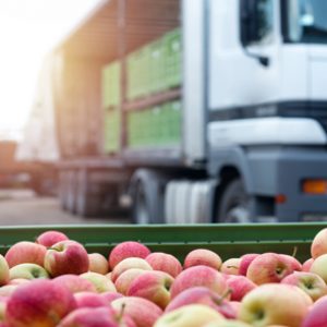 Cursa el Máster en Recolección, Transporte, Almacenamiento y Acondicionamiento de la Fruta